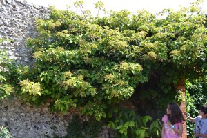 Kipling Gardens in Rottingdean, East Sussex